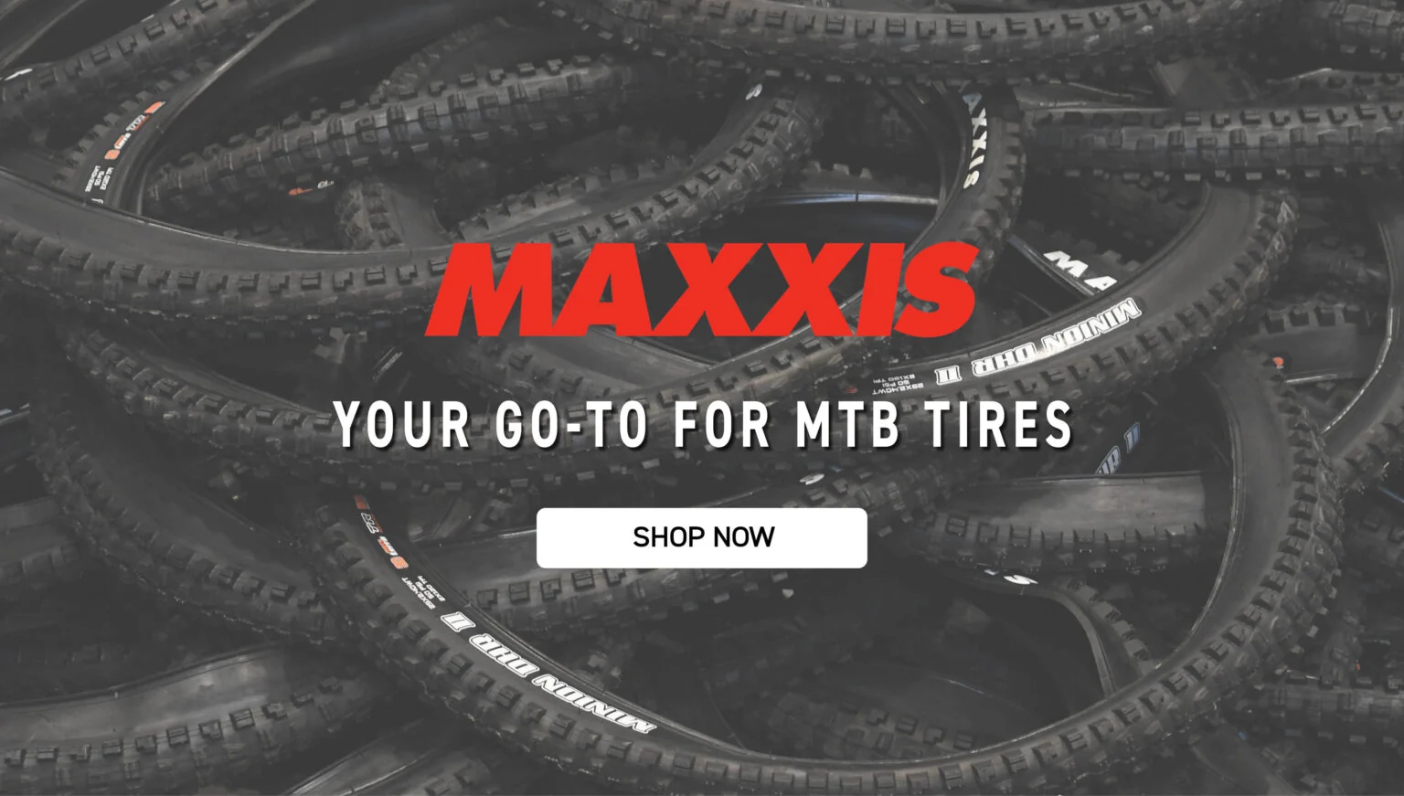 Elevate Your Ride Today